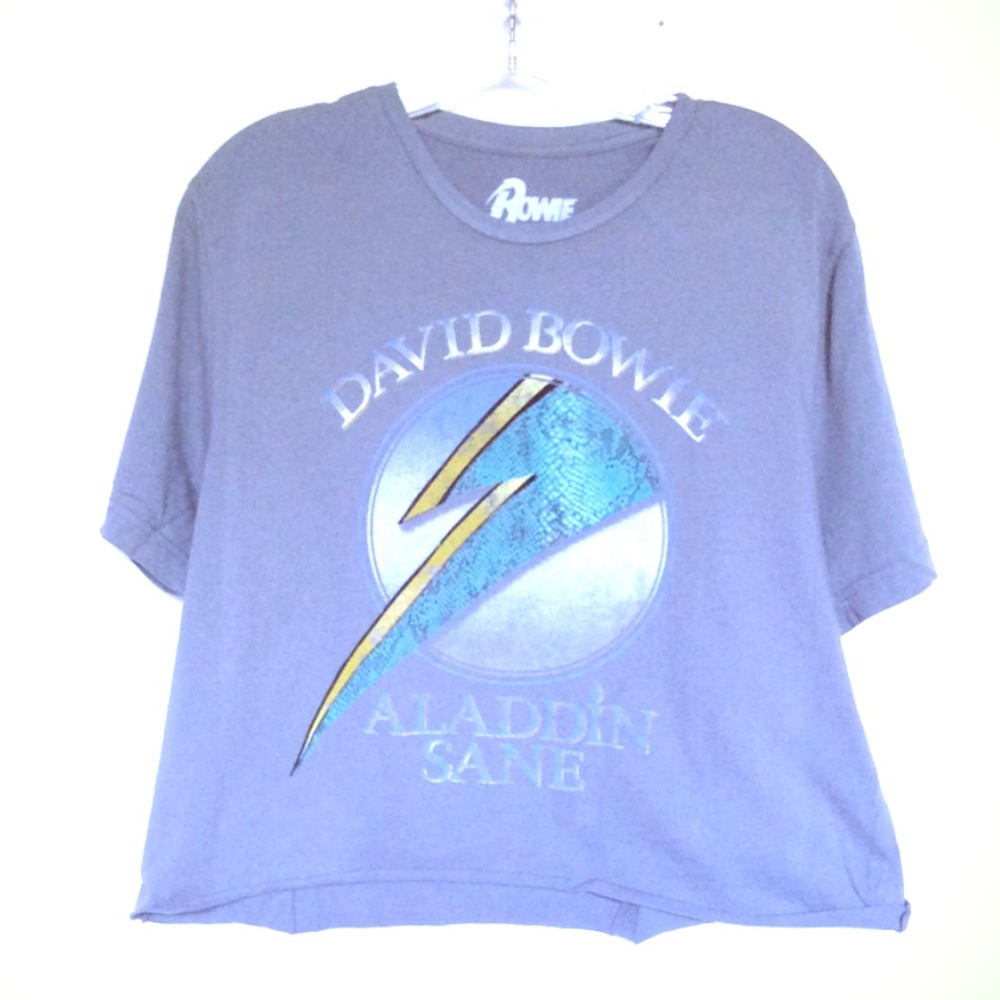 David Bowie Aladdin Sane Crop Tee Shirt